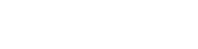 2010